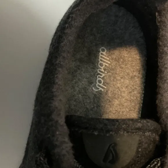 Allbirds WR Sneakers
