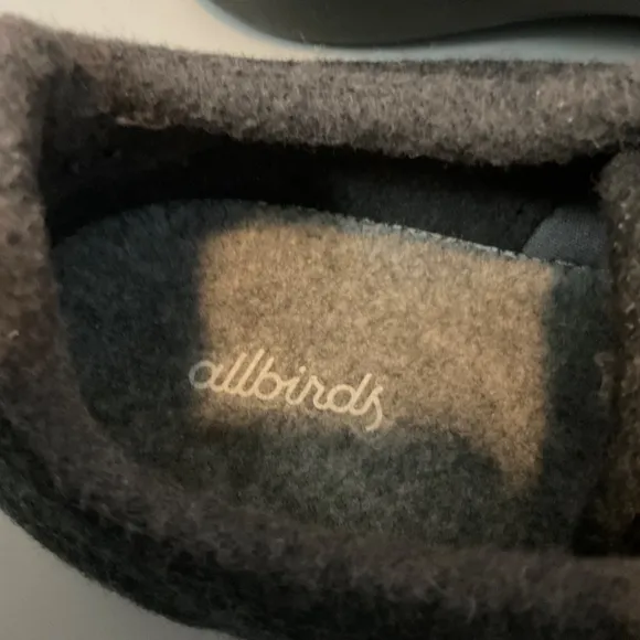 Allbirds WR Sneakers