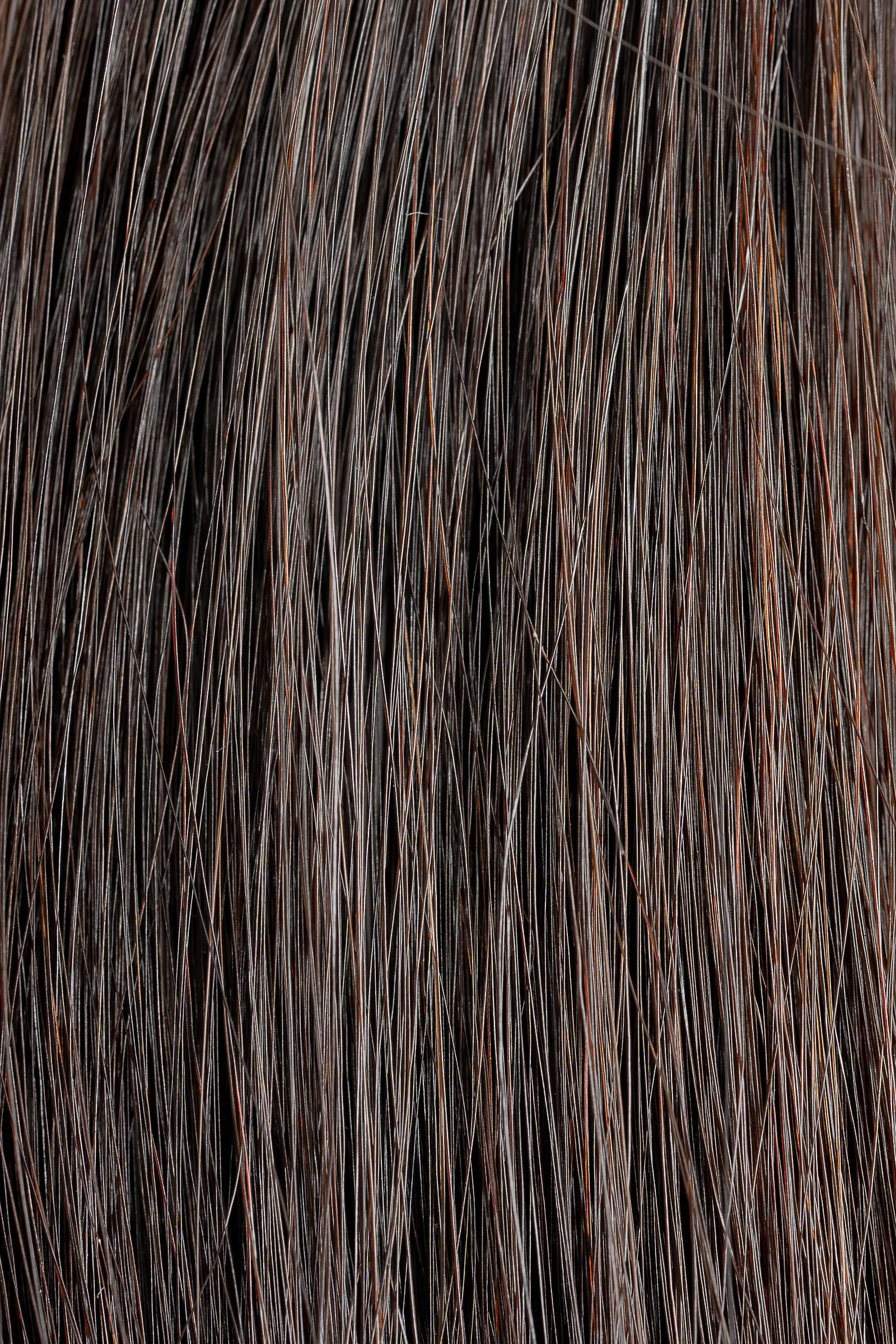 Luxury Extensions #4