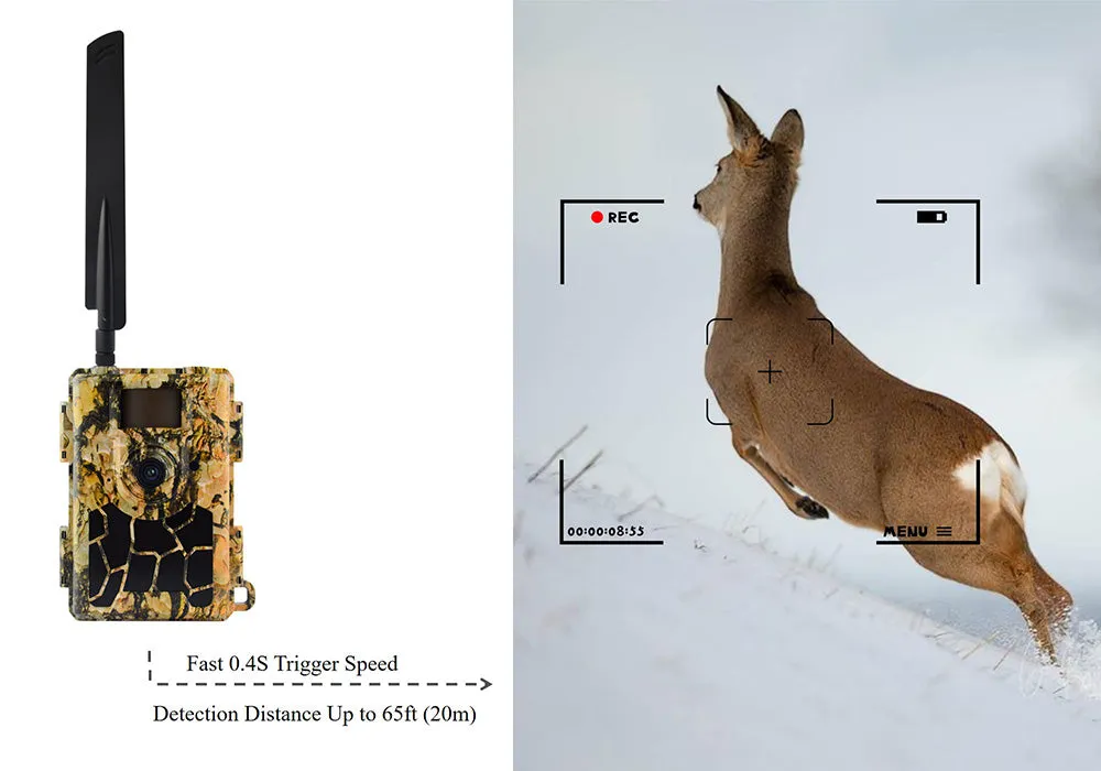 Mini 4G Wireless Trail Hunting Camera 24MP Photo Live Video Stream Push Alerts & GPS Tracker