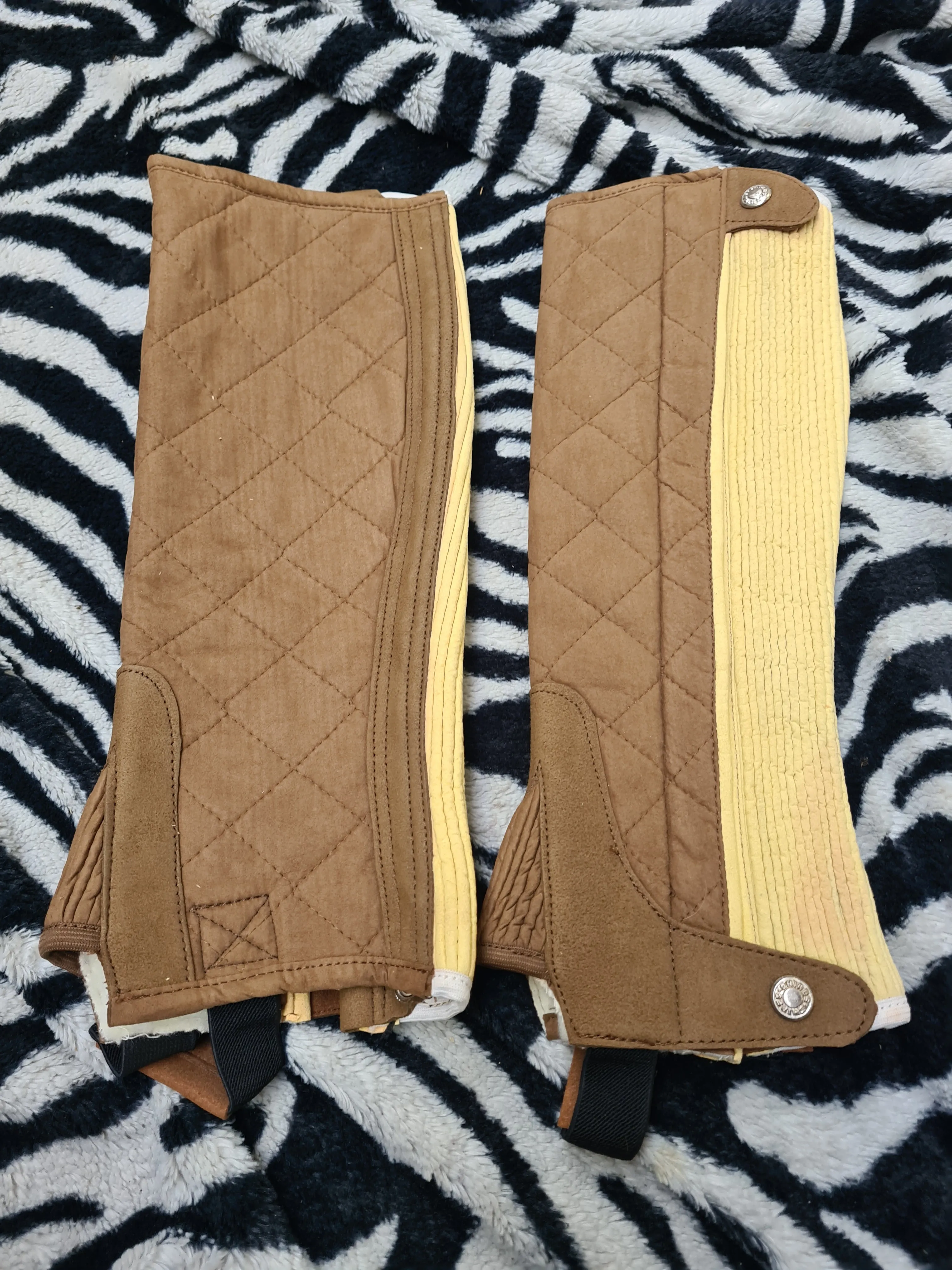 New amara brown shires adults XS chaps