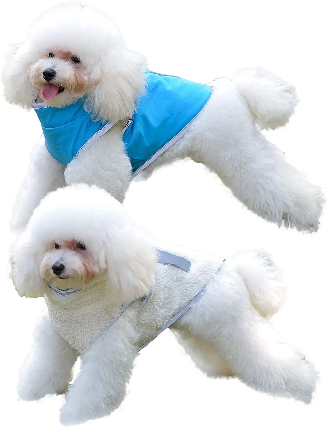 New Comfortland Waterproof Windproof Reversible Fleece Lined Warm Dog Jacket, Blue, Sz XS!