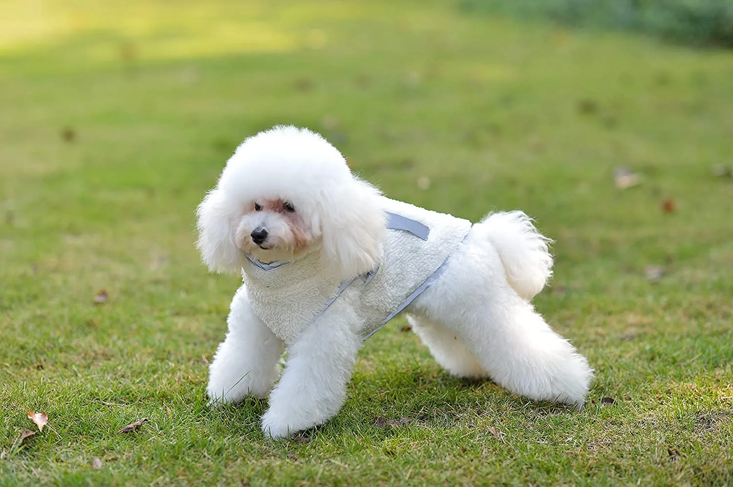 New Comfortland Waterproof Windproof Reversible Fleece Lined Warm Dog Jacket, Blue, Sz XS!