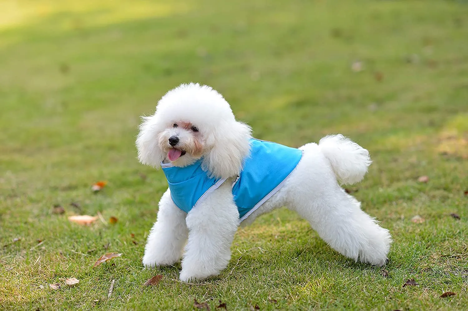 New Comfortland Waterproof Windproof Reversible Fleece Lined Warm Dog Jacket, Blue, Sz XS!