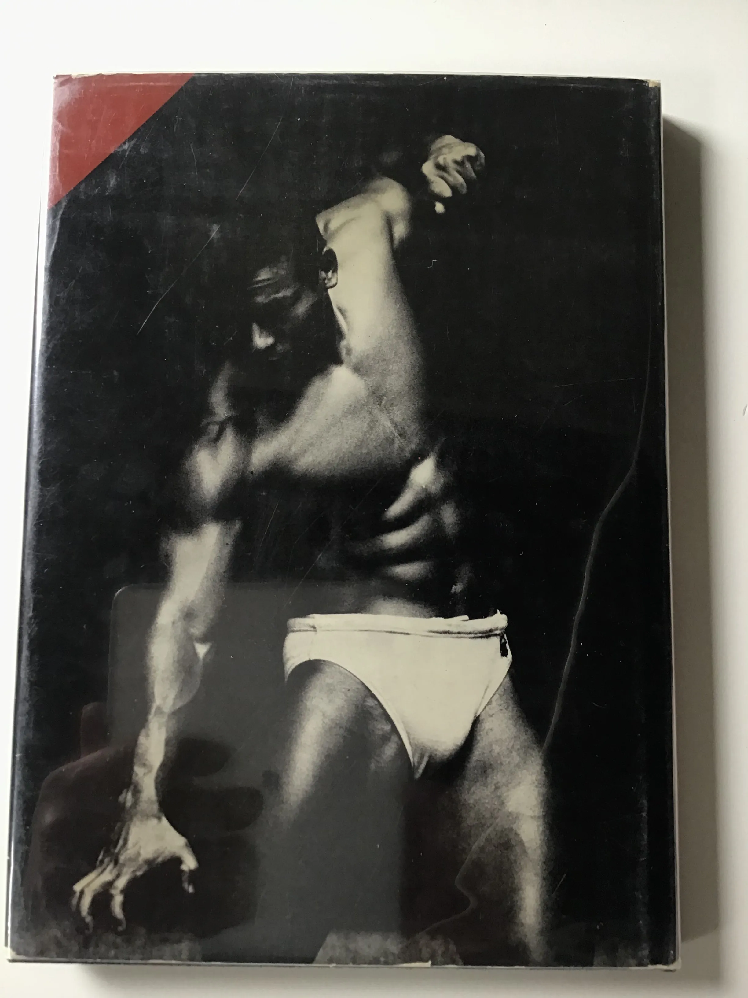 Young Samurai : Bodybuilders of Japan
